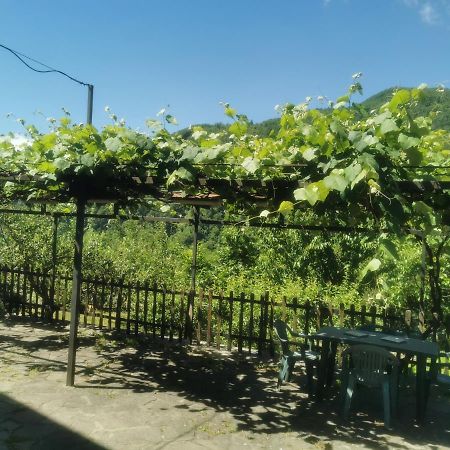 Appartamento Nel Verde 圣马尔切洛皮斯托耶塞 外观 照片